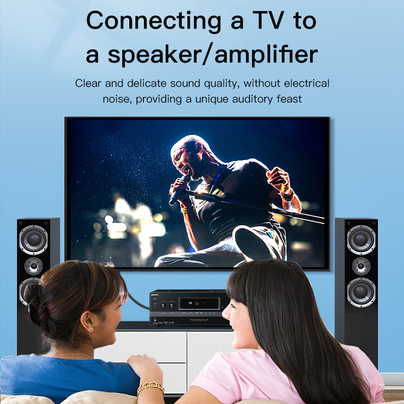 CHOSEAL RCA Cable Digital Coax - Home Cinema Sound System recensione e prezzo